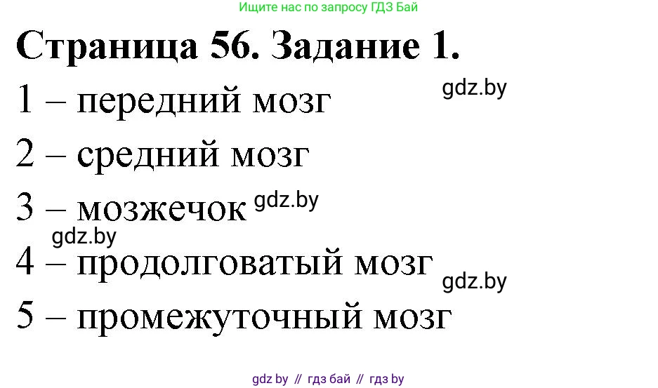 Биология, 8 класс рабочая тетрадь, авторы: Бедарик Ирина Геннадьевна, Бедарик Александр Евгеньевич, издательство Аверсэв, Минск, 2024, страница 56, номер 1, Решение