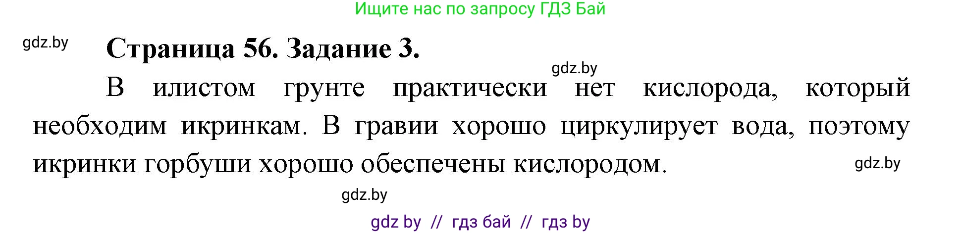 Биология, 8 класс рабочая тетрадь, авторы: Бедарик Ирина Геннадьевна, Бедарик Александр Евгеньевич, издательство Аверсэв, Минск, 2024, страница 56, номер 3, Решение