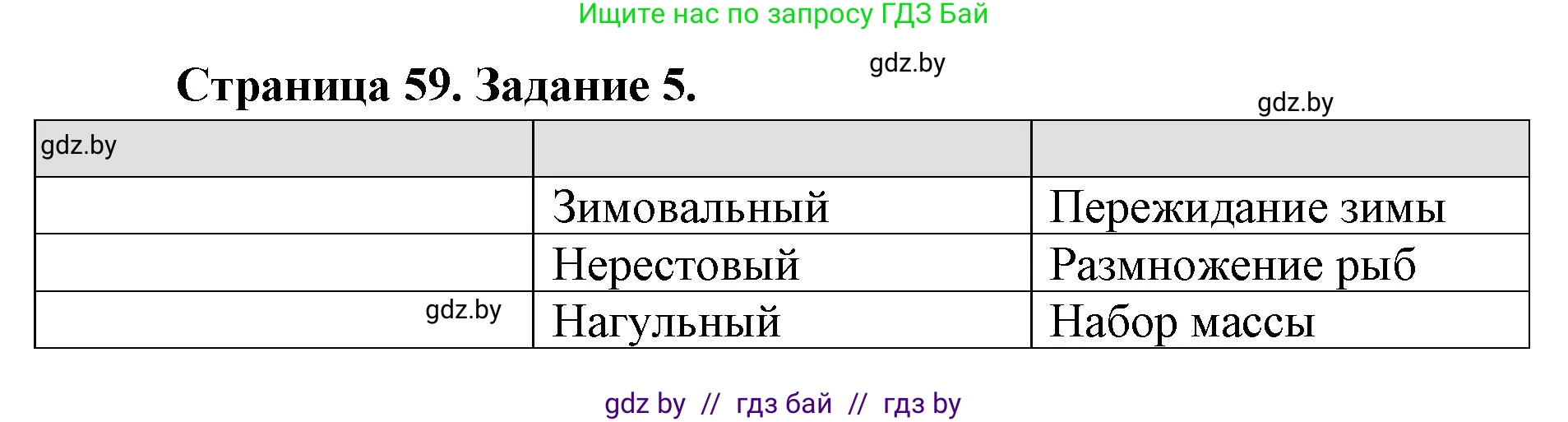 Биология, 8 класс рабочая тетрадь, авторы: Бедарик Ирина Геннадьевна, Бедарик Александр Евгеньевич, издательство Аверсэв, Минск, 2024, страница 59, номер 5, Решение
