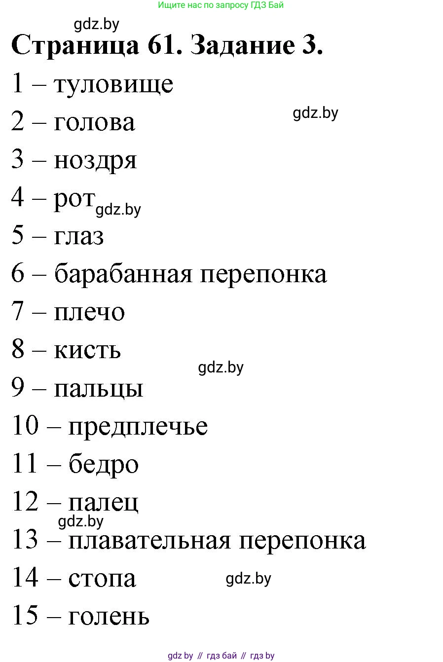 Биология, 8 класс рабочая тетрадь, авторы: Бедарик Ирина Геннадьевна, Бедарик Александр Евгеньевич, издательство Аверсэв, Минск, 2024, страница 61, номер 3, Решение