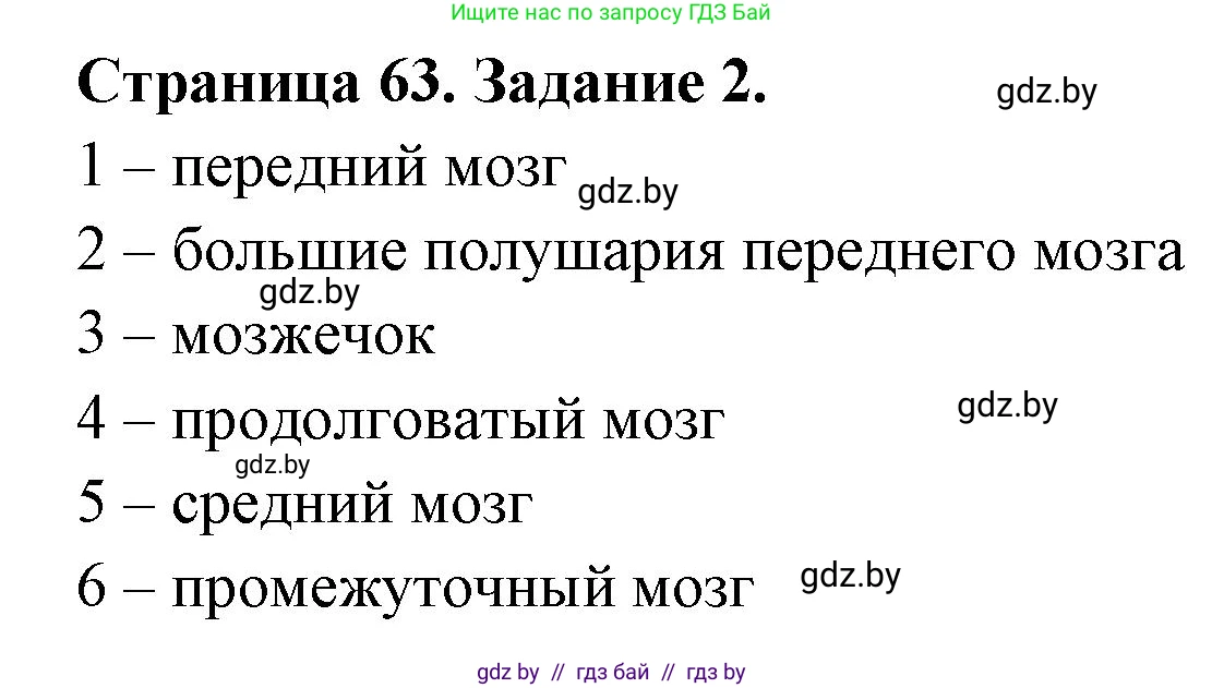 Биология, 8 класс рабочая тетрадь, авторы: Бедарик Ирина Геннадьевна, Бедарик Александр Евгеньевич, издательство Аверсэв, Минск, 2024, страница 63, номер 2, Решение