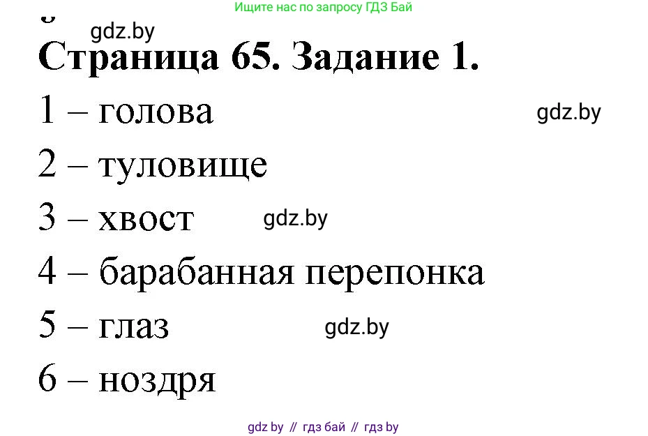 Биология, 8 класс рабочая тетрадь, авторы: Бедарик Ирина Геннадьевна, Бедарик Александр Евгеньевич, издательство Аверсэв, Минск, 2024, страница 65, номер 1, Решение