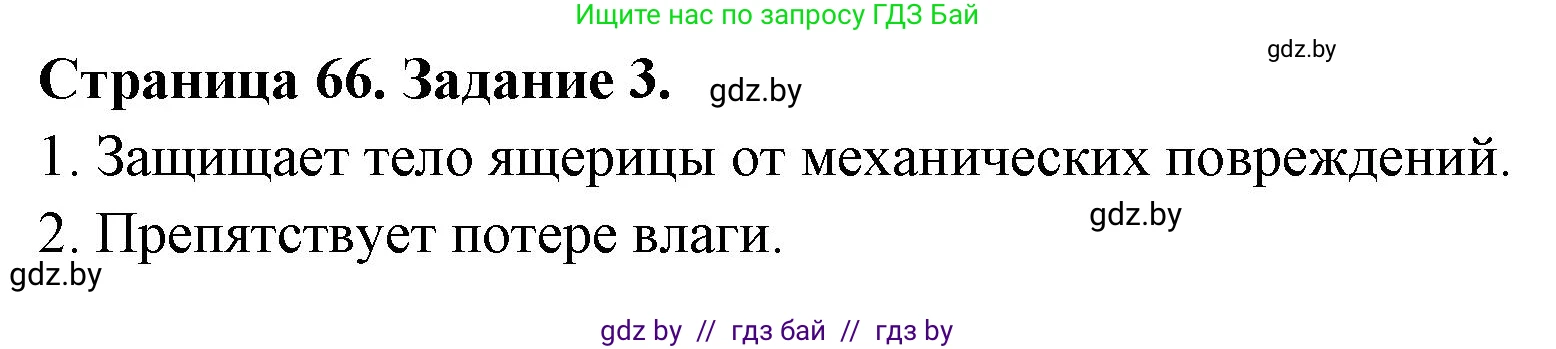 Биология, 8 класс рабочая тетрадь, авторы: Бедарик Ирина Геннадьевна, Бедарик Александр Евгеньевич, издательство Аверсэв, Минск, 2024, страница 66, номер 3, Решение