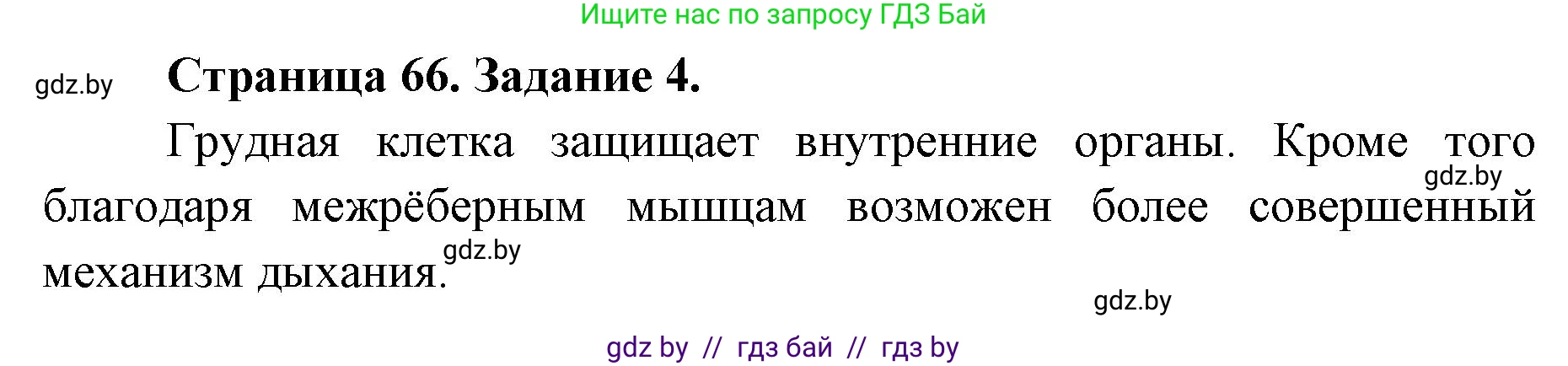 Биология, 8 класс рабочая тетрадь, авторы: Бедарик Ирина Геннадьевна, Бедарик Александр Евгеньевич, издательство Аверсэв, Минск, 2024, страница 66, номер 4, Решение