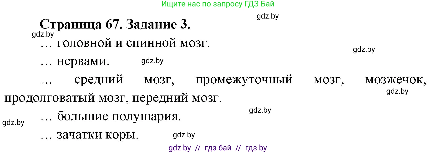 Биология, 8 класс рабочая тетрадь, авторы: Бедарик Ирина Геннадьевна, Бедарик Александр Евгеньевич, издательство Аверсэв, Минск, 2024, страница 67, номер 3, Решение