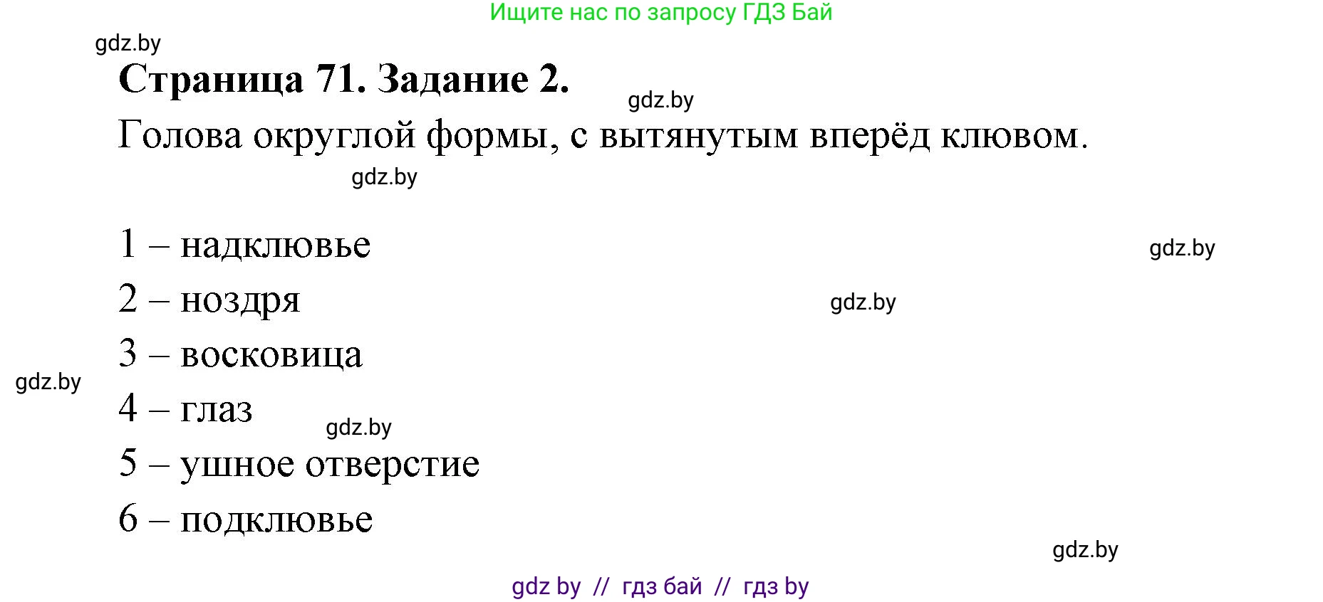 Биология, 8 класс рабочая тетрадь, авторы: Бедарик Ирина Геннадьевна, Бедарик Александр Евгеньевич, издательство Аверсэв, Минск, 2024, страница 71, номер 2, Решение