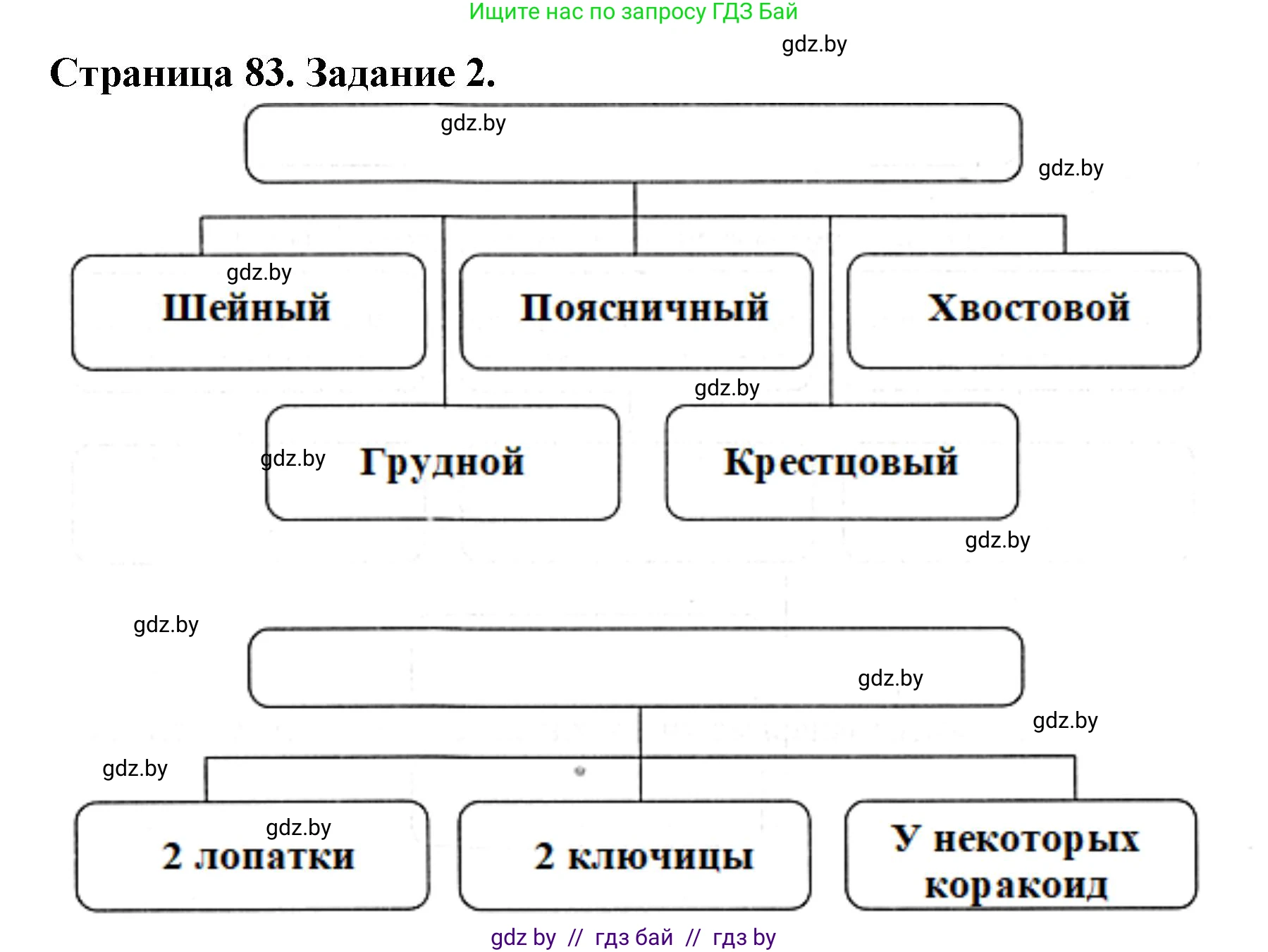 Биология, 8 класс рабочая тетрадь, авторы: Бедарик Ирина Геннадьевна, Бедарик Александр Евгеньевич, издательство Аверсэв, Минск, 2024, страница 83, номер 2, Решение