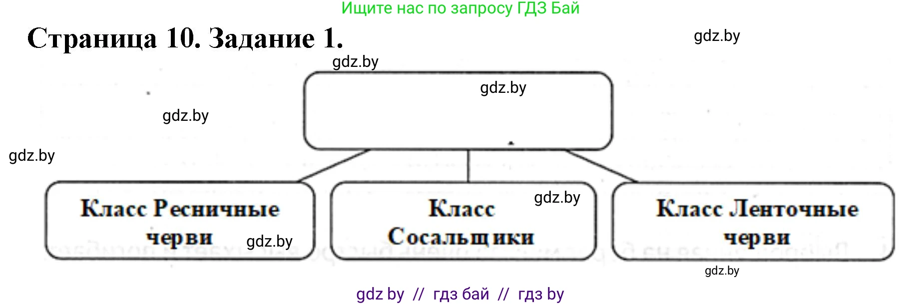 Биология, 8 класс рабочая тетрадь, авторы: Бедарик Ирина Геннадьевна, Бедарик Александр Евгеньевич, издательство Аверсэв, Минск, 2024, страница 10, номер 1, Решение
