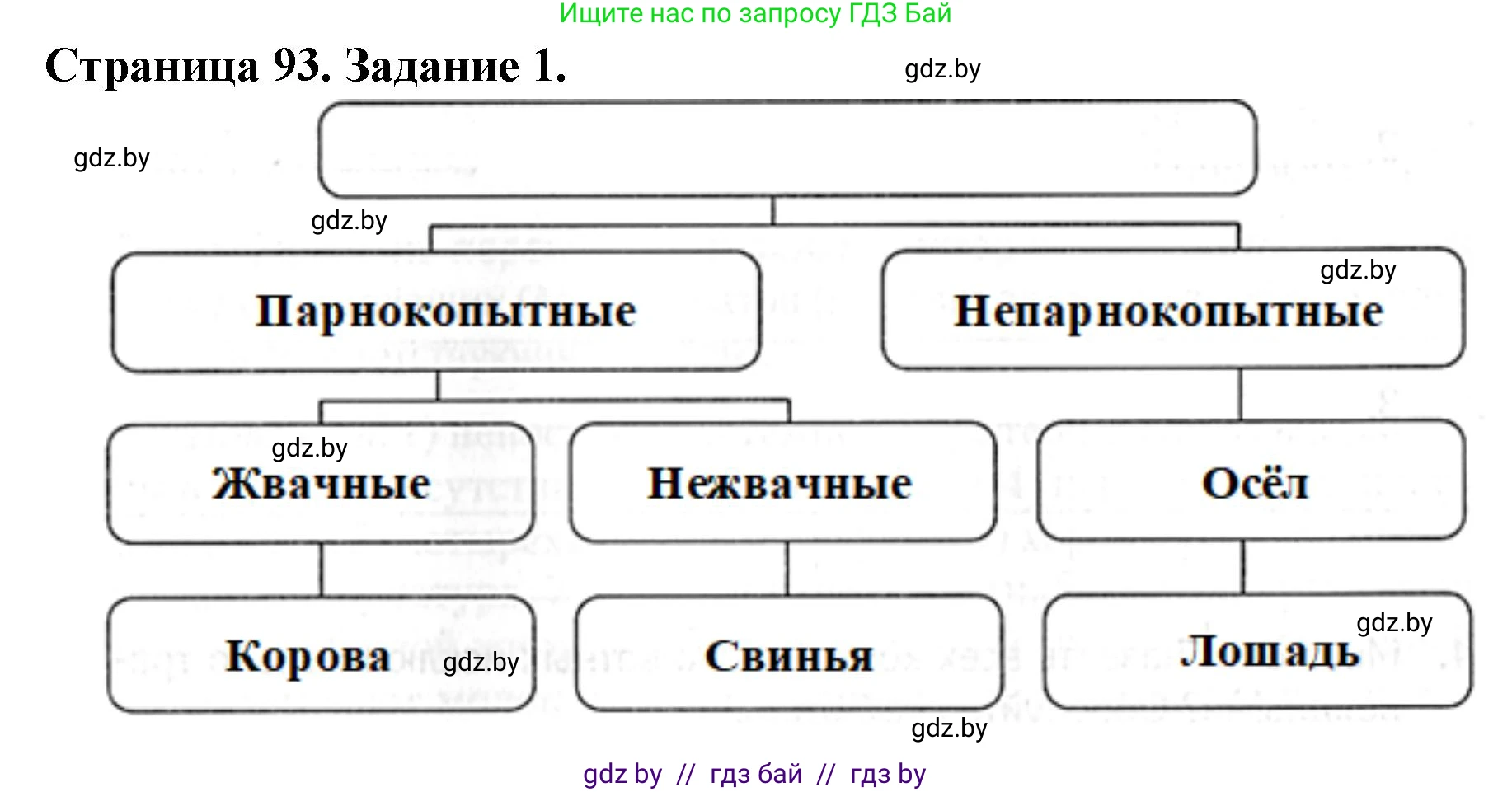 Биология, 8 класс рабочая тетрадь, авторы: Бедарик Ирина Геннадьевна, Бедарик Александр Евгеньевич, издательство Аверсэв, Минск, 2024, страница 93, номер 1, Решение