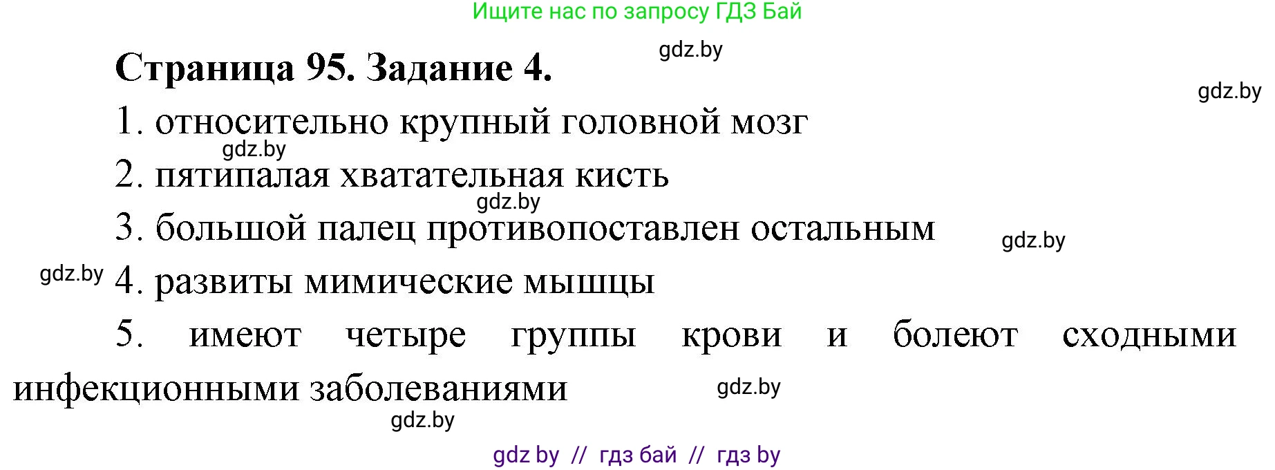 Биология, 8 класс рабочая тетрадь, авторы: Бедарик Ирина Геннадьевна, Бедарик Александр Евгеньевич, издательство Аверсэв, Минск, 2024, страница 95, номер 4, Решение