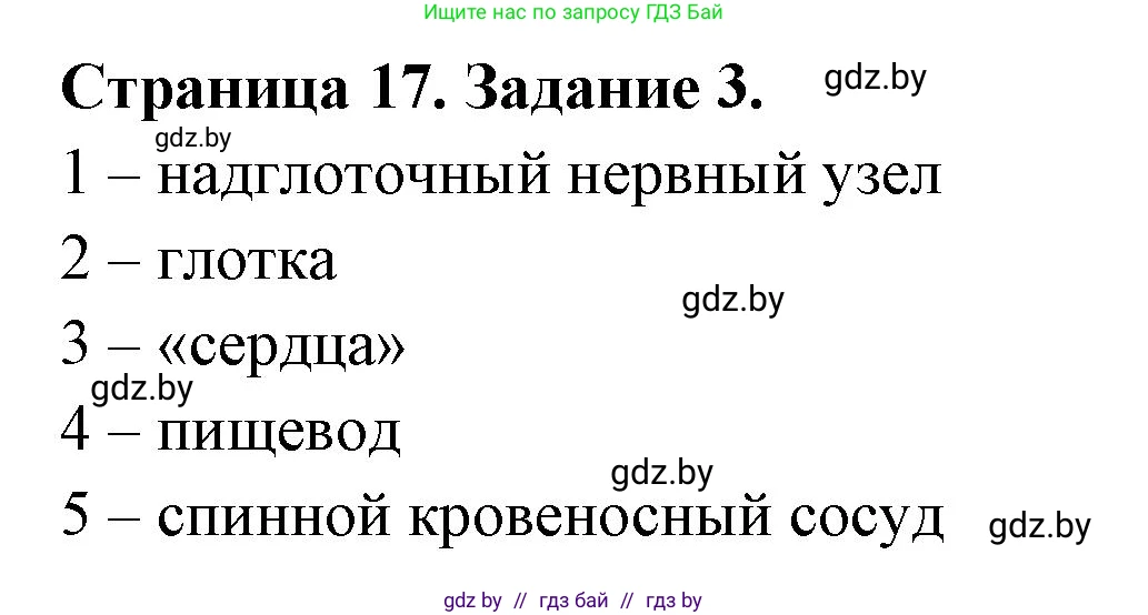 Биология, 8 класс рабочая тетрадь, авторы: Бедарик Ирина Геннадьевна, Бедарик Александр Евгеньевич, издательство Аверсэв, Минск, 2024, страница 17, номер 3, Решение