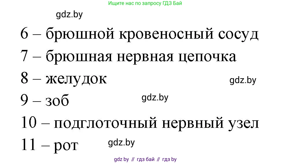 Биология, 8 класс рабочая тетрадь, авторы: Бедарик Ирина Геннадьевна, Бедарик Александр Евгеньевич, издательство Аверсэв, Минск, 2024, страница 17, номер 3, Решение (продолжение 2)