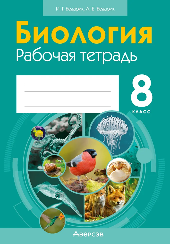 Биология, 8 класс рабочая тетрадь, авторы: Бедарик Ирина Геннадьевна, Бедарик Александр Евгеньевич, издательство Аверсэв, Минск, 2024