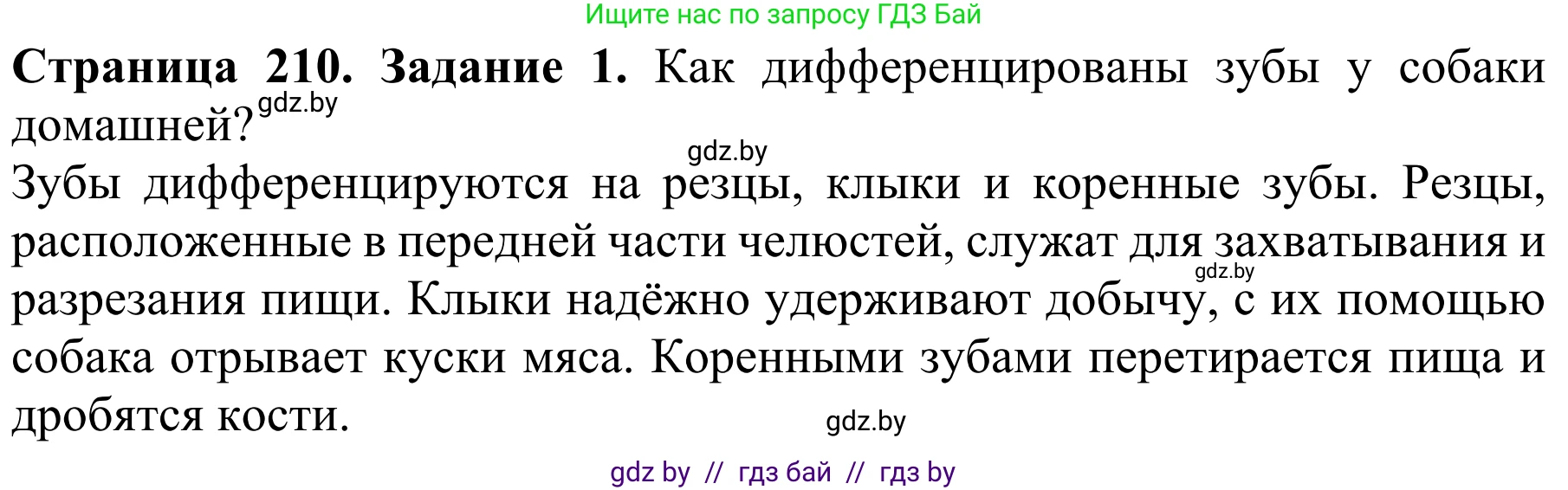 Биология, 8 класс Учебник, авторы: Бедарик Ирина Геннадьевна, Бедарик Александр Евгеньевич, Иванов Владимир Николаевич, издательство Адукацыя i выхаванне, Минск, 2023, зелёного цвета, страница 210, Решение