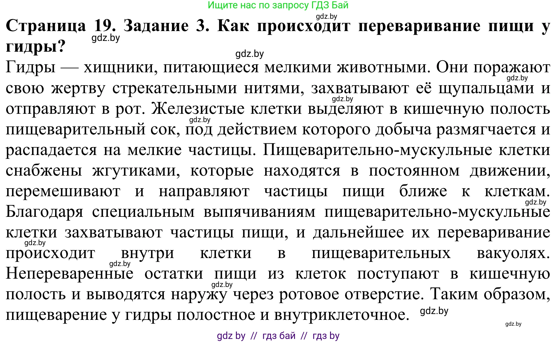 Биология, 8 класс Учебник, авторы: Бедарик Ирина Геннадьевна, Бедарик Александр Евгеньевич, Иванов Владимир Николаевич, издательство Адукацыя i выхаванне, Минск, 2023, зелёного цвета, страница 19, номер 3, Решение