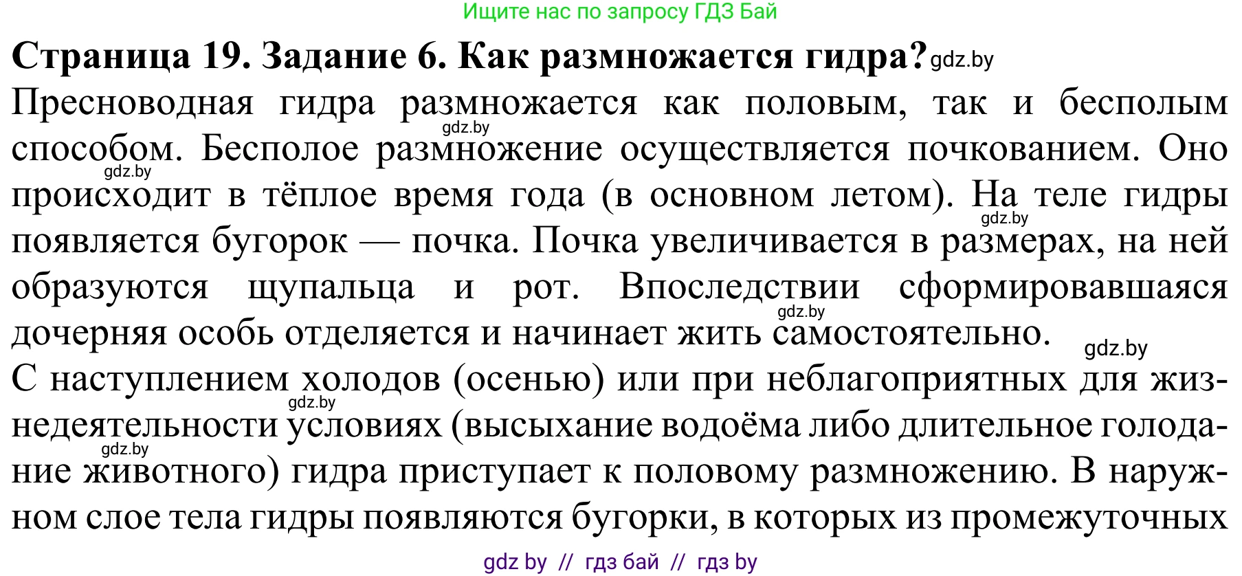 Биология, 8 класс Учебник, авторы: Бедарик Ирина Геннадьевна, Бедарик Александр Евгеньевич, Иванов Владимир Николаевич, издательство Адукацыя i выхаванне, Минск, 2023, зелёного цвета, страница 19, номер 6, Решение