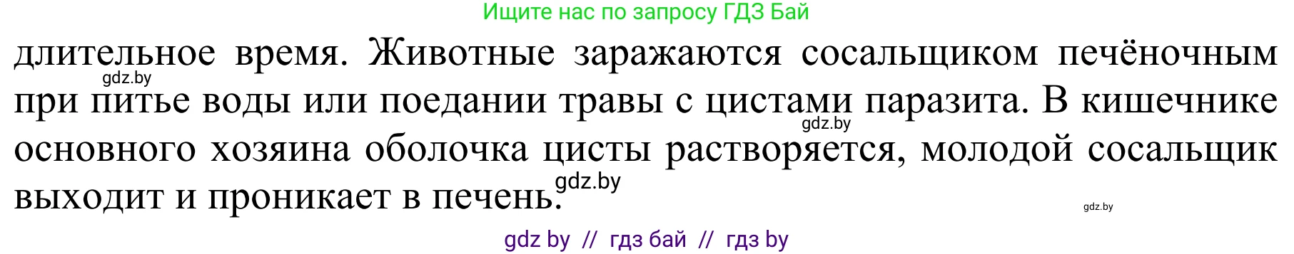 Биология, 8 класс Учебник, авторы: Бедарик Ирина Геннадьевна, Бедарик Александр Евгеньевич, Иванов Владимир Николаевич, издательство Адукацыя i выхаванне, Минск, 2023, зелёного цвета, страница 31, номер 3, Решение (продолжение 2)