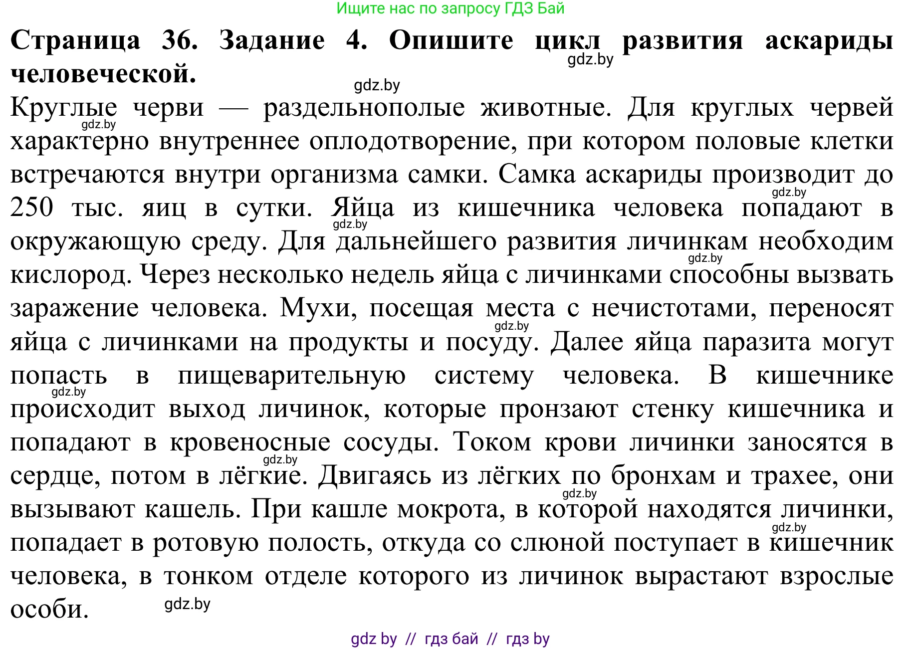 Биология, 8 класс Учебник, авторы: Бедарик Ирина Геннадьевна, Бедарик Александр Евгеньевич, Иванов Владимир Николаевич, издательство Адукацыя i выхаванне, Минск, 2023, зелёного цвета, страница 36, номер 4, Решение