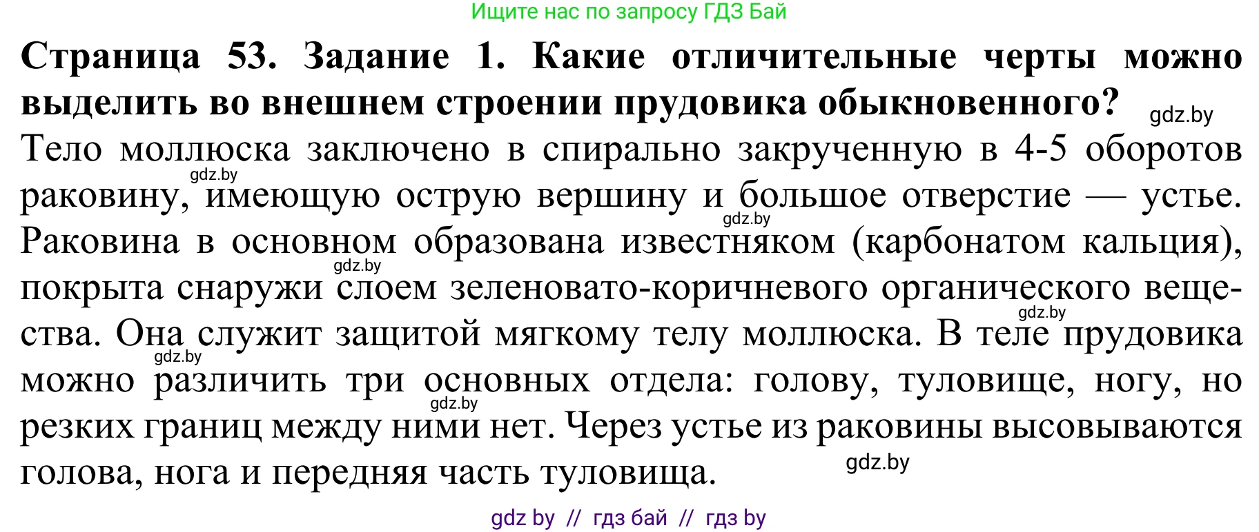 Биология, 8 класс Учебник, авторы: Бедарик Ирина Геннадьевна, Бедарик Александр Евгеньевич, Иванов Владимир Николаевич, издательство Адукацыя i выхаванне, Минск, 2023, зелёного цвета, страница 53, номер 1, Решение