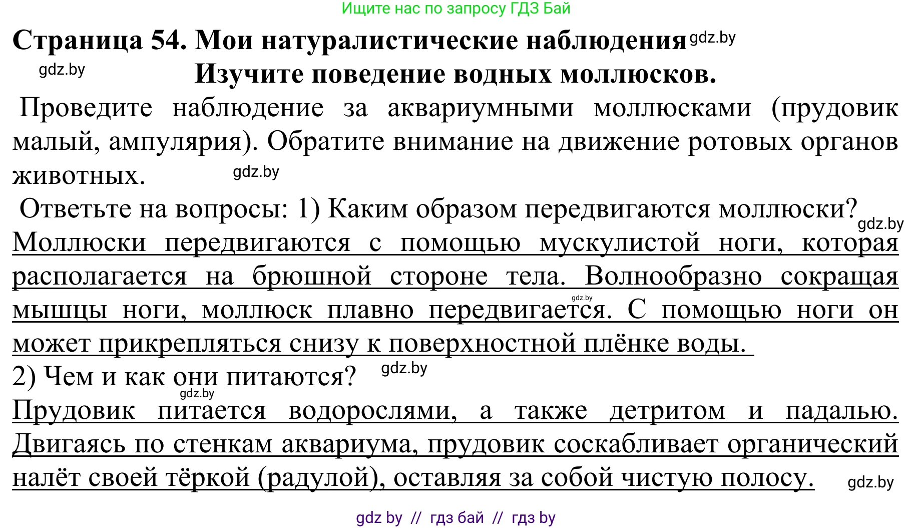 Биология, 8 класс Учебник, авторы: Бедарик Ирина Геннадьевна, Бедарик Александр Евгеньевич, Иванов Владимир Николаевич, издательство Адукацыя i выхаванне, Минск, 2023, зелёного цвета, страница 54, Решение