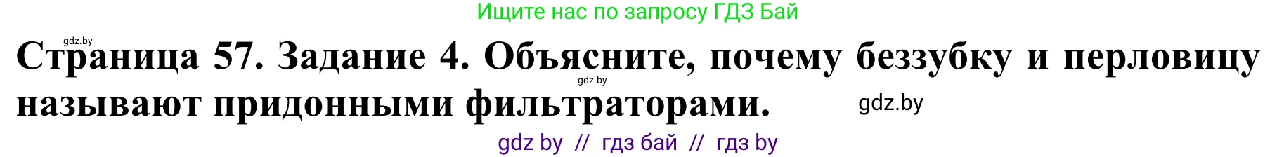 Биология, 8 класс Учебник, авторы: Бедарик Ирина Геннадьевна, Бедарик Александр Евгеньевич, Иванов Владимир Николаевич, издательство Адукацыя i выхаванне, Минск, 2023, зелёного цвета, страница 57, номер 4, Решение