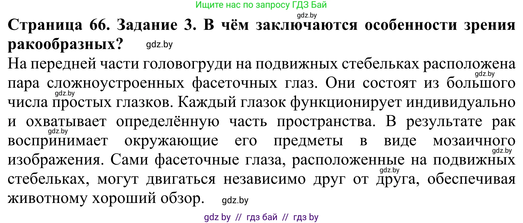 Биология, 8 класс Учебник, авторы: Бедарик Ирина Геннадьевна, Бедарик Александр Евгеньевич, Иванов Владимир Николаевич, издательство Адукацыя i выхаванне, Минск, 2023, зелёного цвета, страница 66, номер 3, Решение