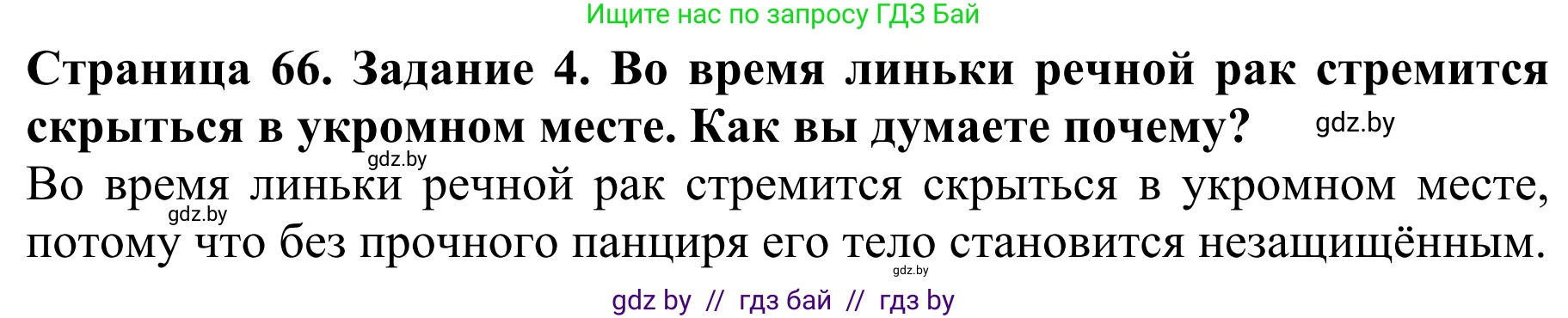 Биология, 8 класс Учебник, авторы: Бедарик Ирина Геннадьевна, Бедарик Александр Евгеньевич, Иванов Владимир Николаевич, издательство Адукацыя i выхаванне, Минск, 2023, зелёного цвета, страница 66, номер 4, Решение