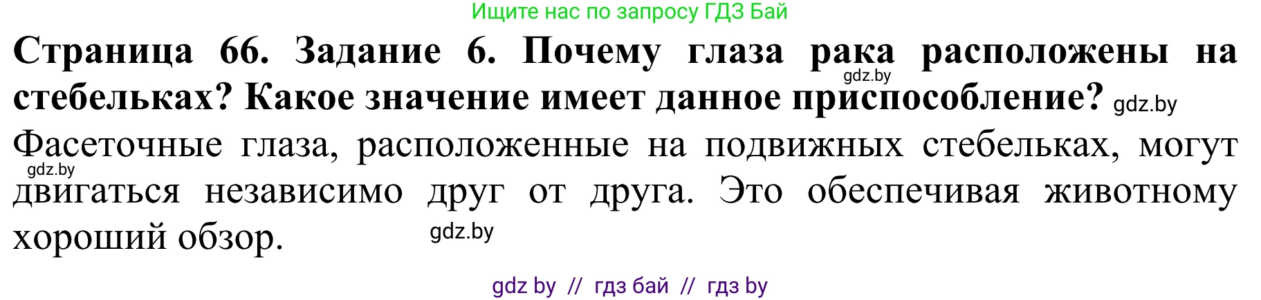 Биология, 8 класс Учебник, авторы: Бедарик Ирина Геннадьевна, Бедарик Александр Евгеньевич, Иванов Владимир Николаевич, издательство Адукацыя i выхаванне, Минск, 2023, зелёного цвета, страница 66, номер 6, Решение