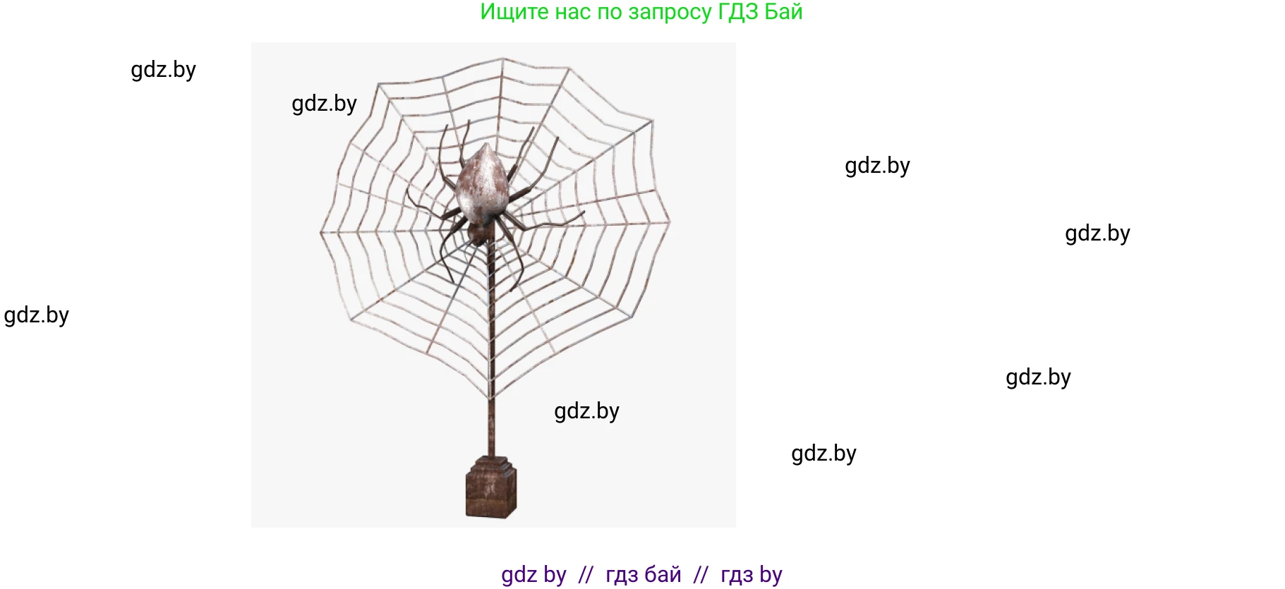 Биология, 8 класс Учебник, авторы: Бедарик Ирина Геннадьевна, Бедарик Александр Евгеньевич, Иванов Владимир Николаевич, издательство Адукацыя i выхаванне, Минск, 2023, зелёного цвета, страница 81, Решение (продолжение 2)