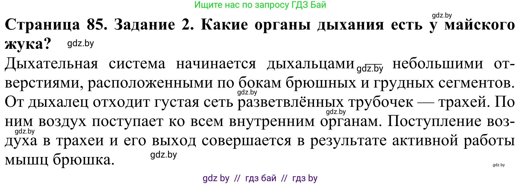 Биология, 8 класс Учебник, авторы: Бедарик Ирина Геннадьевна, Бедарик Александр Евгеньевич, Иванов Владимир Николаевич, издательство Адукацыя i выхаванне, Минск, 2023, зелёного цвета, страница 85, номер 2, Решение