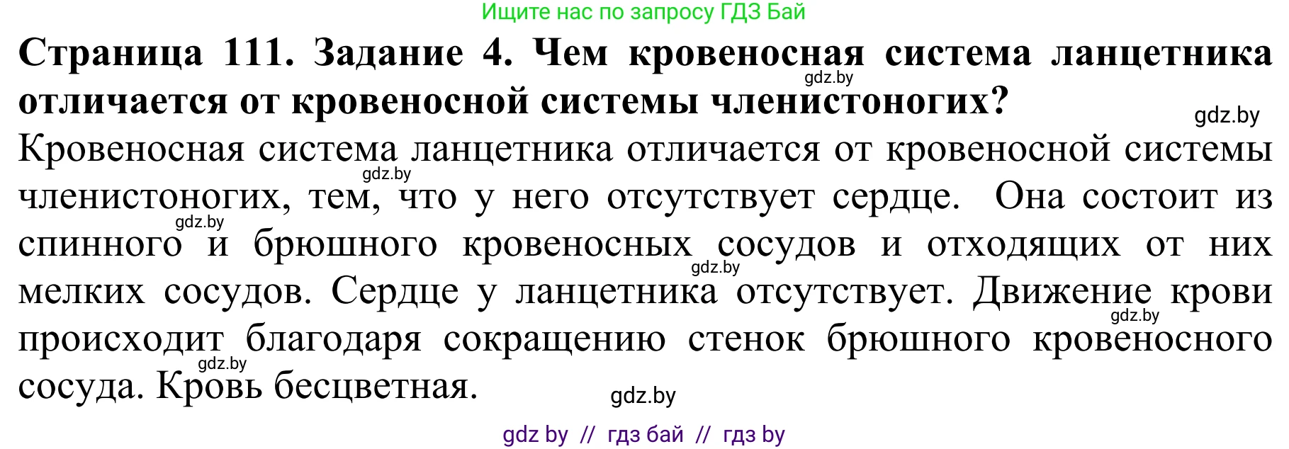 Биология, 8 класс Учебник, авторы: Бедарик Ирина Геннадьевна, Бедарик Александр Евгеньевич, Иванов Владимир Николаевич, издательство Адукацыя i выхаванне, Минск, 2023, зелёного цвета, страница 111, номер 4, Решение