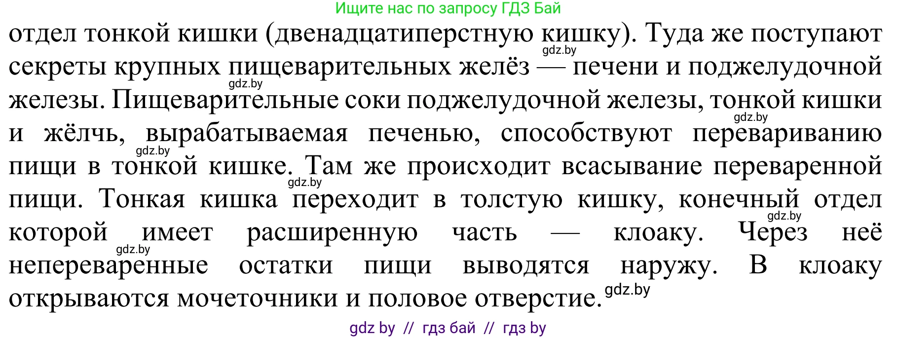 Биология, 8 класс Учебник, авторы: Бедарик Ирина Геннадьевна, Бедарик Александр Евгеньевич, Иванов Владимир Николаевич, издательство Адукацыя i выхаванне, Минск, 2023, зелёного цвета, страница 140, номер 2, Решение (продолжение 2)