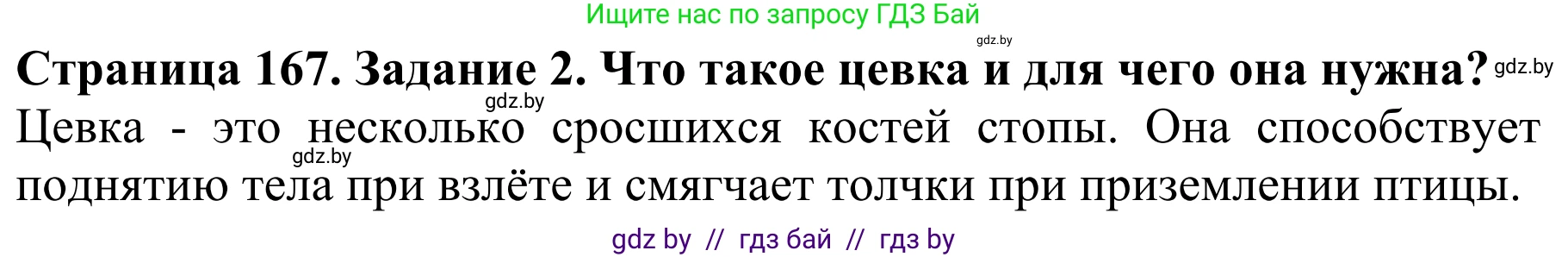 Биология, 8 класс Учебник, авторы: Бедарик Ирина Геннадьевна, Бедарик Александр Евгеньевич, Иванов Владимир Николаевич, издательство Адукацыя i выхаванне, Минск, 2023, зелёного цвета, страница 167, номер 2, Решение