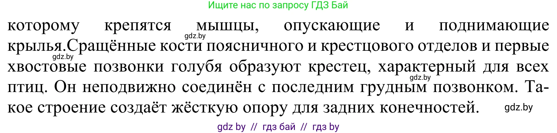 Биология, 8 класс Учебник, авторы: Бедарик Ирина Геннадьевна, Бедарик Александр Евгеньевич, Иванов Владимир Николаевич, издательство Адукацыя i выхаванне, Минск, 2023, зелёного цвета, страница 167, номер 3, Решение (продолжение 2)