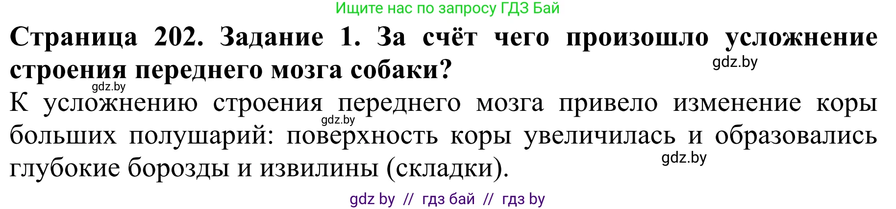 Биология, 8 класс Учебник, авторы: Бедарик Ирина Геннадьевна, Бедарик Александр Евгеньевич, Иванов Владимир Николаевич, издательство Адукацыя i выхаванне, Минск, 2023, зелёного цвета, страница 202, номер 1, Решение