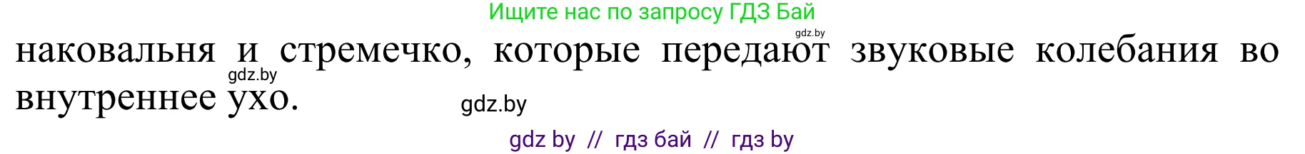 Биология, 8 класс Учебник, авторы: Бедарик Ирина Геннадьевна, Бедарик Александр Евгеньевич, Иванов Владимир Николаевич, издательство Адукацыя i выхаванне, Минск, 2023, зелёного цвета, страница 202, номер 2, Решение (продолжение 2)