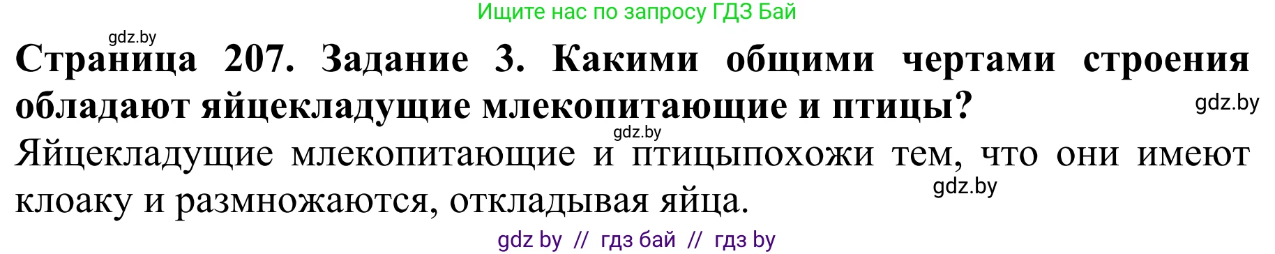 Биология, 8 класс Учебник, авторы: Бедарик Ирина Геннадьевна, Бедарик Александр Евгеньевич, Иванов Владимир Николаевич, издательство Адукацыя i выхаванне, Минск, 2023, зелёного цвета, страница 207, номер 3, Решение