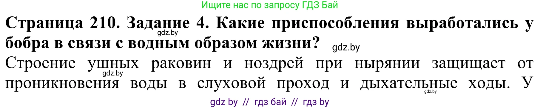 Биология, 8 класс Учебник, авторы: Бедарик Ирина Геннадьевна, Бедарик Александр Евгеньевич, Иванов Владимир Николаевич, издательство Адукацыя i выхаванне, Минск, 2023, зелёного цвета, страница 210, номер 4, Решение