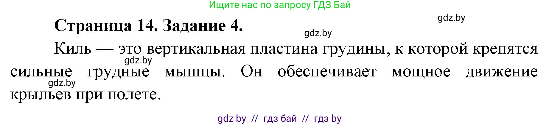 Биология, 8 класс Сборник контрольных и самостоятельных работ, авторы: Дубков Сергей Григорьевич, Городович Наталья Ивановна, Сеген Елена Адамовна, издательство Аверсэв, Минск, 2025, страница 14, номер 4, Решение