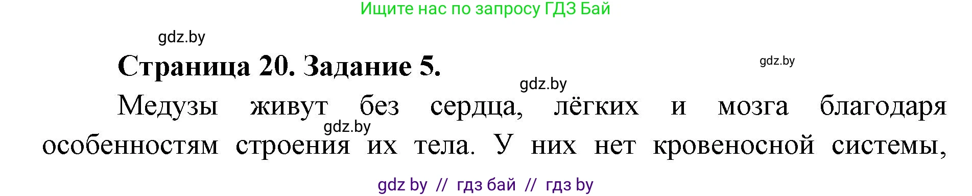 Биология, 8 класс Сборник контрольных и самостоятельных работ, авторы: Дубков Сергей Григорьевич, Городович Наталья Ивановна, Сеген Елена Адамовна, издательство Аверсэв, Минск, 2025, страница 20, номер 5, Решение