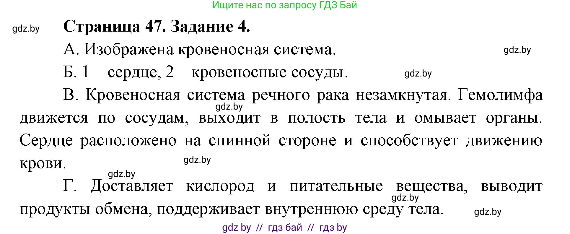Биология, 8 класс Сборник контрольных и самостоятельных работ, авторы: Дубков Сергей Григорьевич, Городович Наталья Ивановна, Сеген Елена Адамовна, издательство Аверсэв, Минск, 2025, страница 47, номер 4, Решение