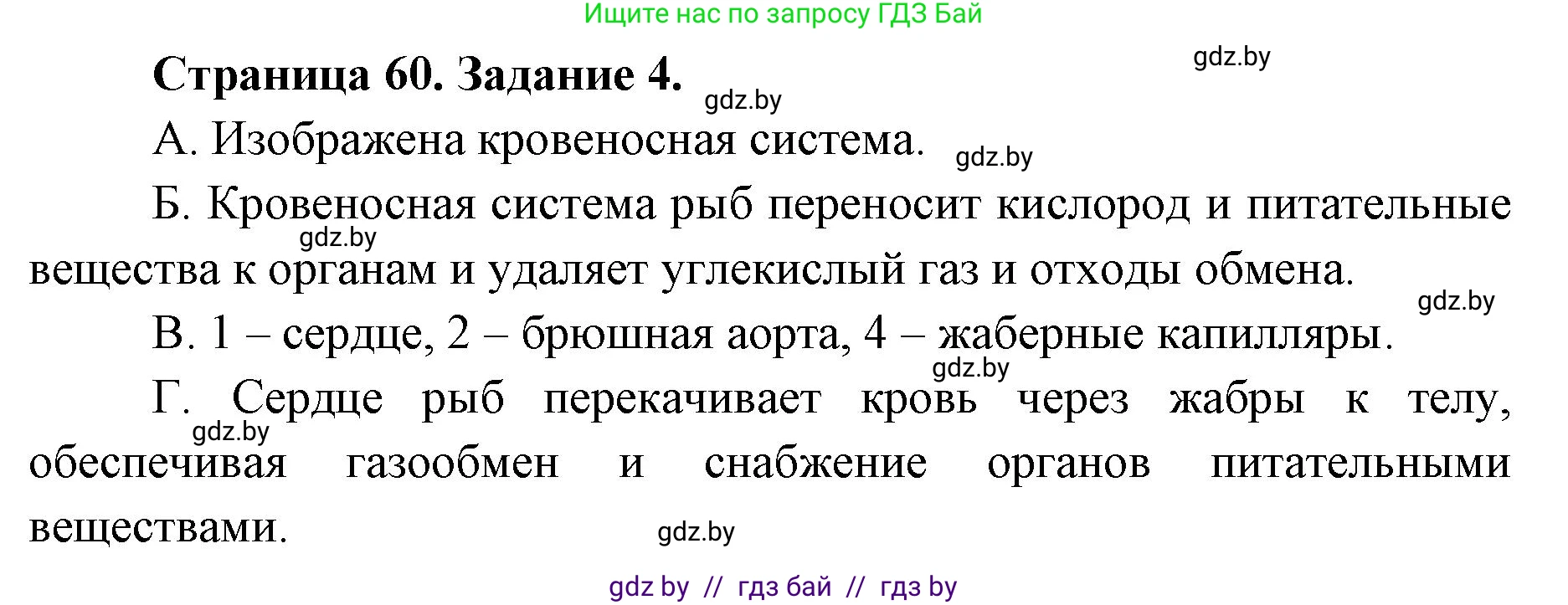 Биология, 8 класс Сборник контрольных и самостоятельных работ, авторы: Дубков Сергей Григорьевич, Городович Наталья Ивановна, Сеген Елена Адамовна, издательство Аверсэв, Минск, 2025, страница 60, номер 4, Решение