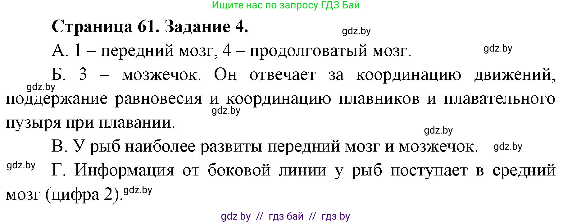 Биология, 8 класс Сборник контрольных и самостоятельных работ, авторы: Дубков Сергей Григорьевич, Городович Наталья Ивановна, Сеген Елена Адамовна, издательство Аверсэв, Минск, 2025, страница 61, номер 4, Решение