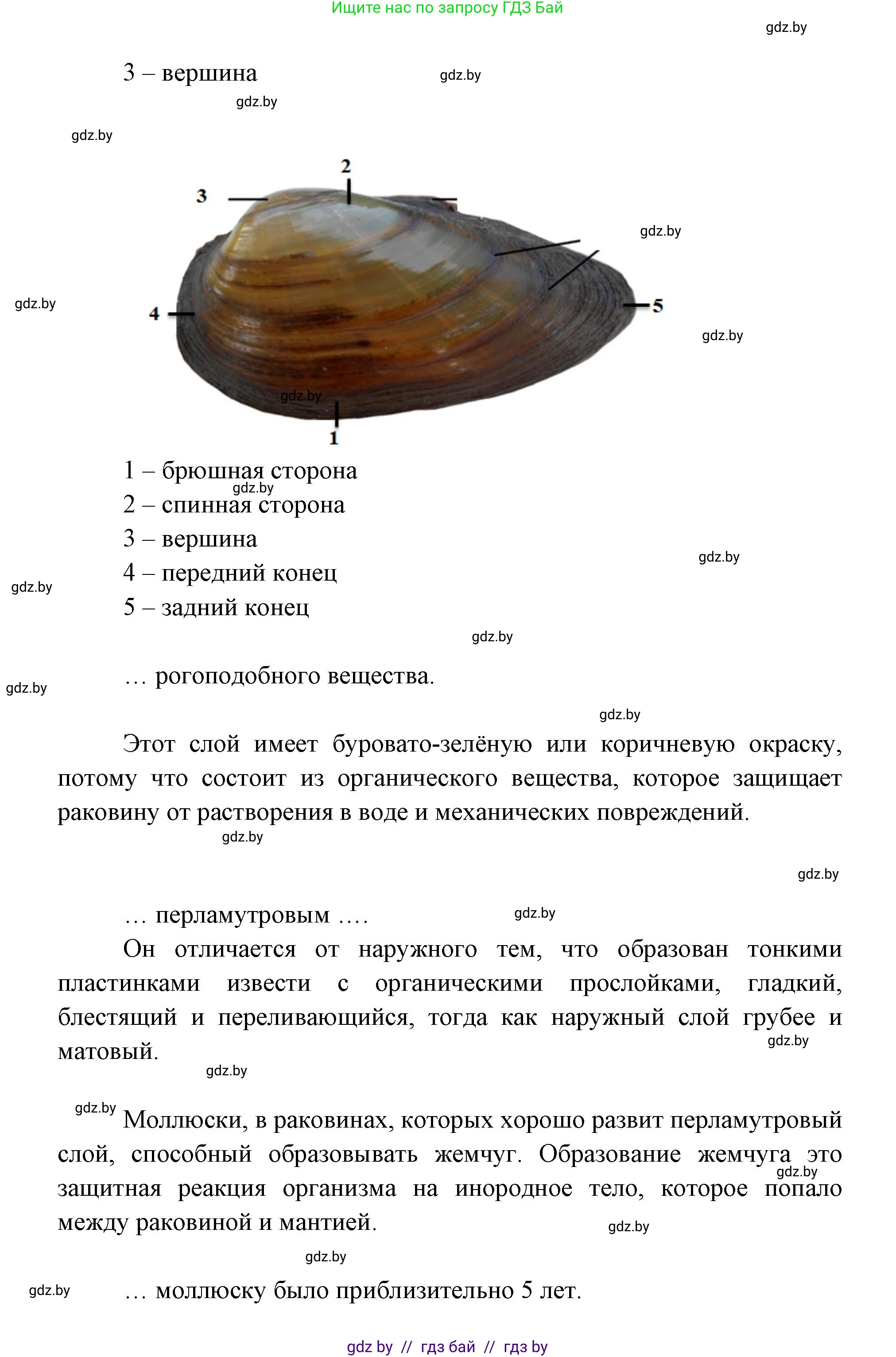 Биология, 8 класс Тетрадь для лабораторных и практических работ, автор: Лисов Николай Дмитриевич, издательство Аверсэв, Минск, 2025, оранжевого цвета, страница 5, Решение 2025 (продолжение 2)