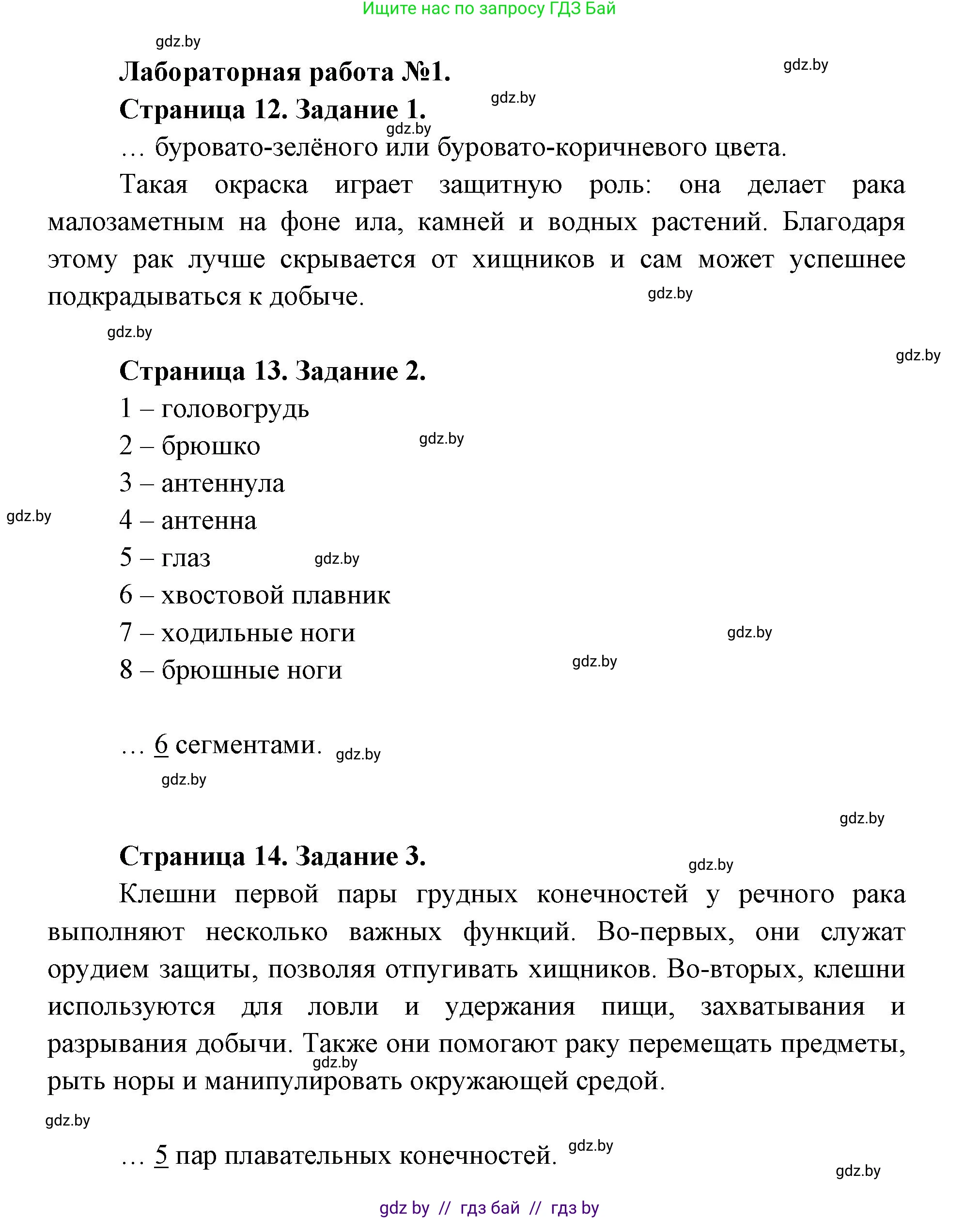 Биология, 8 класс Тетрадь для лабораторных и практических работ, автор: Лисов Николай Дмитриевич, издательство Аверсэв, Минск, 2025, оранжевого цвета, страница 12, Решение 2025