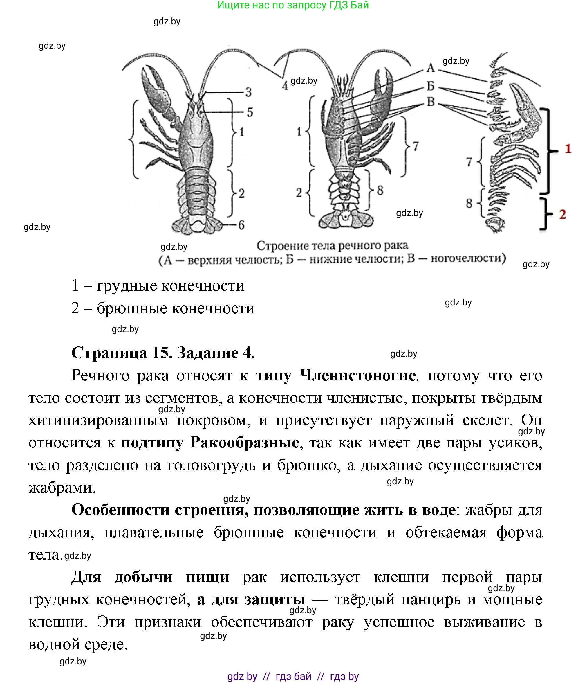 Биология, 8 класс Тетрадь для лабораторных и практических работ, автор: Лисов Николай Дмитриевич, издательство Аверсэв, Минск, 2025, оранжевого цвета, страница 12, Решение 2025 (продолжение 2)