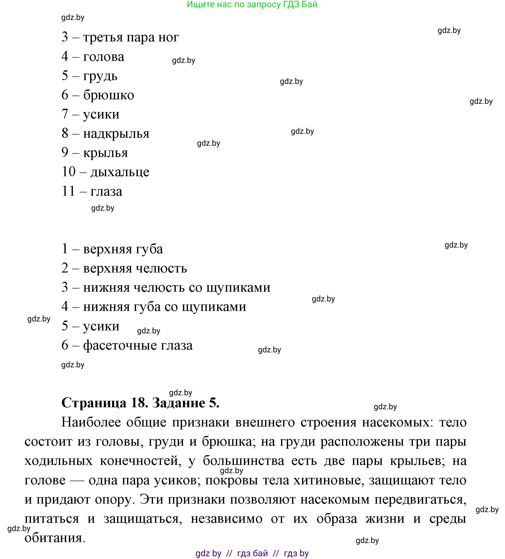 Биология, 8 класс Тетрадь для лабораторных и практических работ, автор: Лисов Николай Дмитриевич, издательство Аверсэв, Минск, 2025, оранжевого цвета, страница 16, Решение 2025 (продолжение 2)