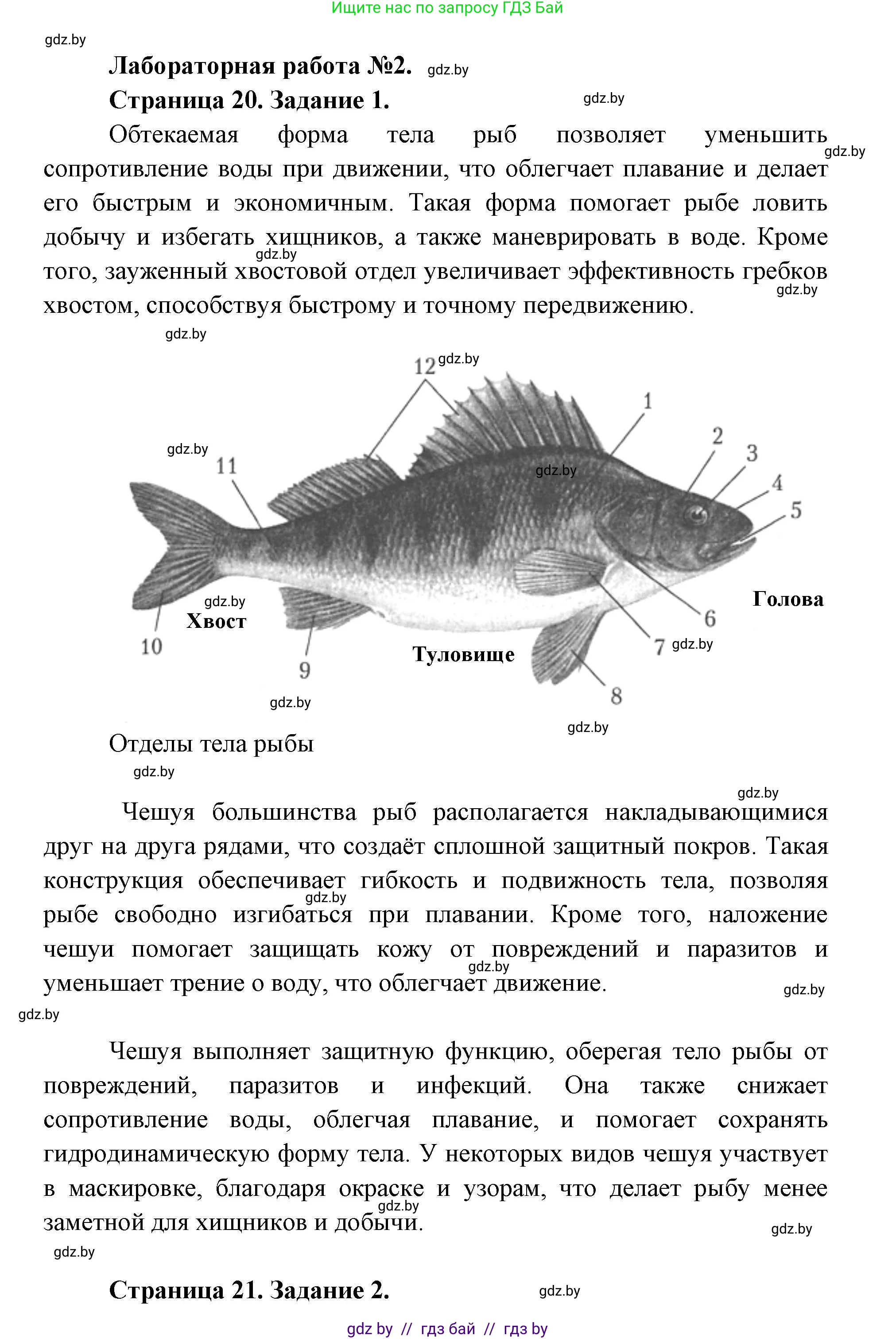 Биология, 8 класс Тетрадь для лабораторных и практических работ, автор: Лисов Николай Дмитриевич, издательство Аверсэв, Минск, 2025, оранжевого цвета, страница 20, Решение 2025
