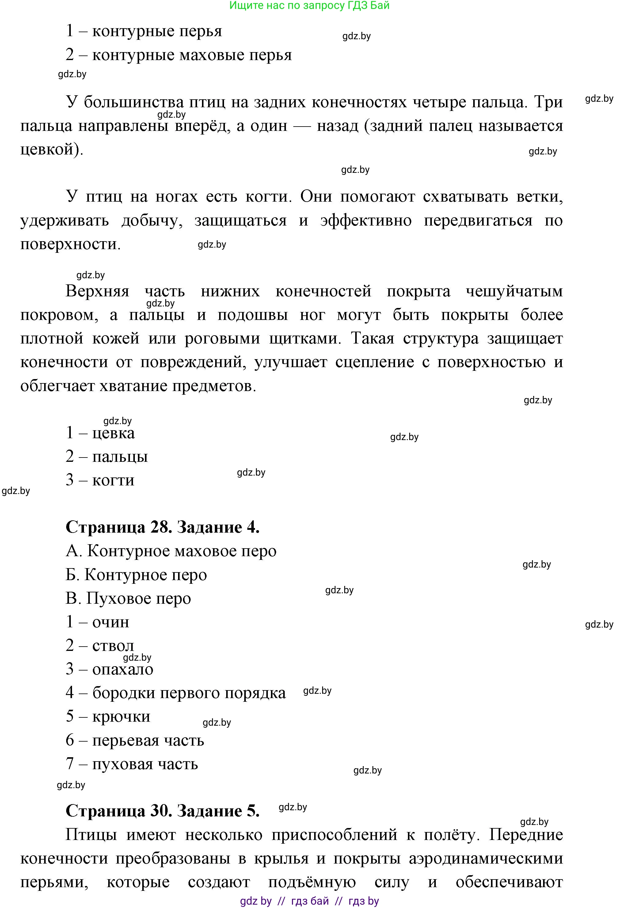 Биология, 8 класс Тетрадь для лабораторных и практических работ, автор: Лисов Николай Дмитриевич, издательство Аверсэв, Минск, 2025, оранжевого цвета, страница 25, Решение 2025 (продолжение 2)