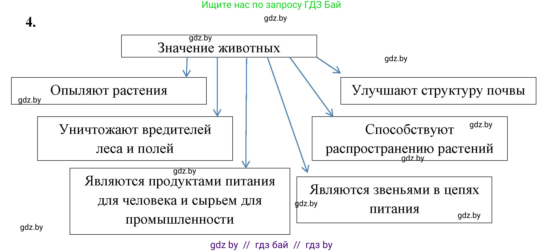 Биология, 8 класс рабочая тетрадь, автор: Лисов Николай Дмитриевич, издательство Аверсэв, Минск, 2018, зелёного цвета, страница 5, номер 4, Решение